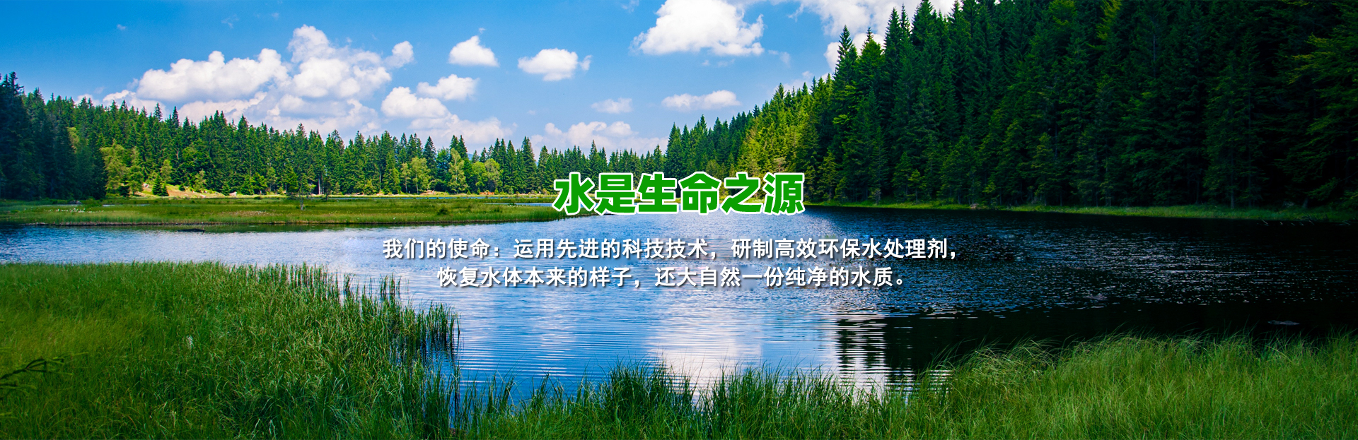 杭州臨安維蘭助劑有限公司